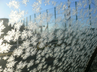 wphoto05nov4 118.JPG